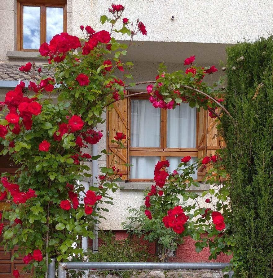 Villa Cocolo Villanúa Zewnętrze zdjęcie
